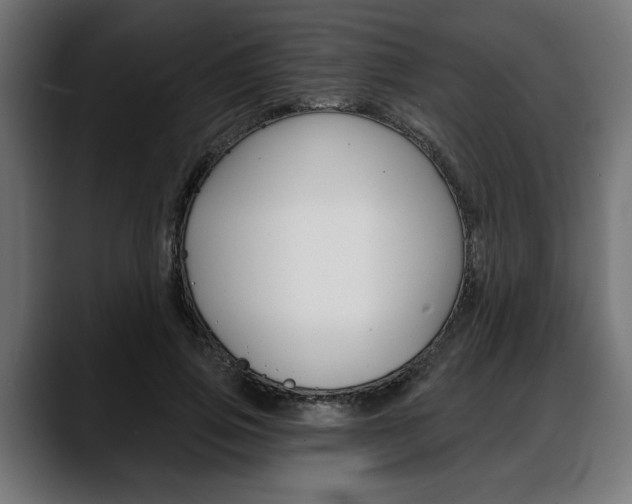 X0000088630741200705250857