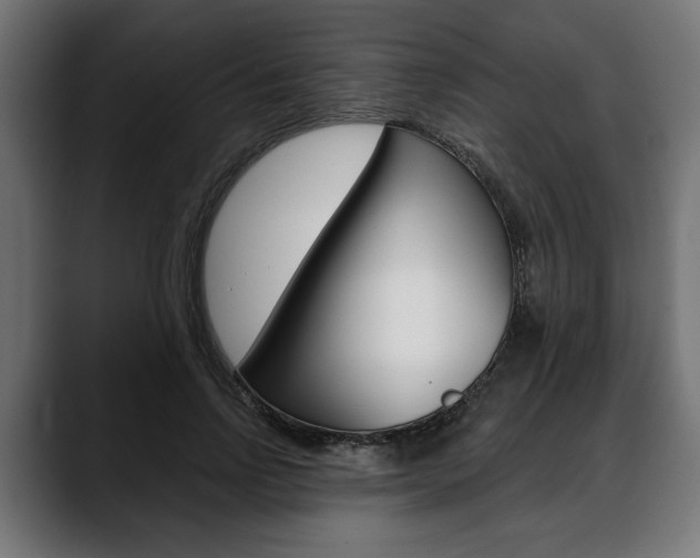 X0000088630742200705250857