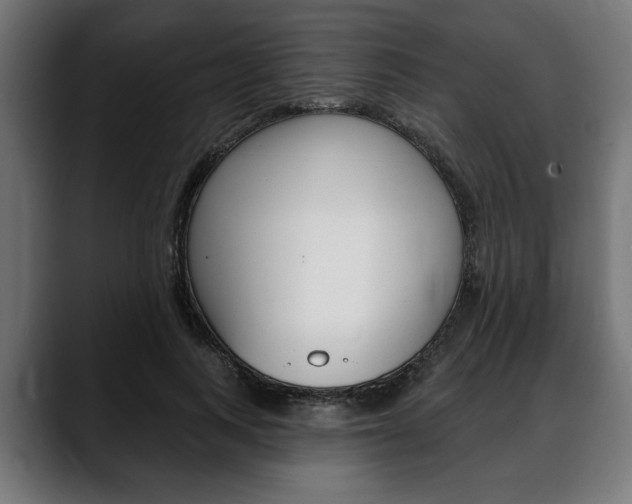 X0000088630743200705250857
