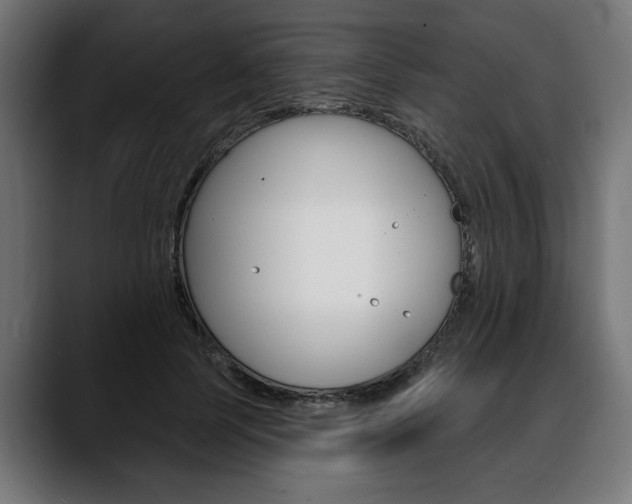 X0000088630745200705250857