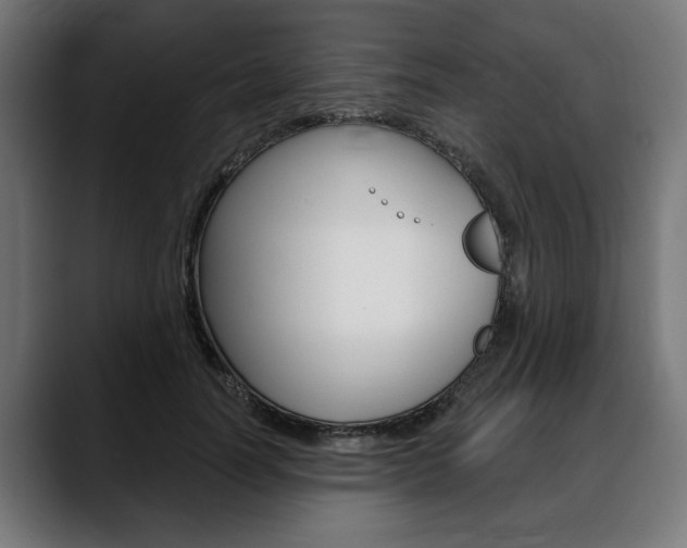 X0000088630746200705250857