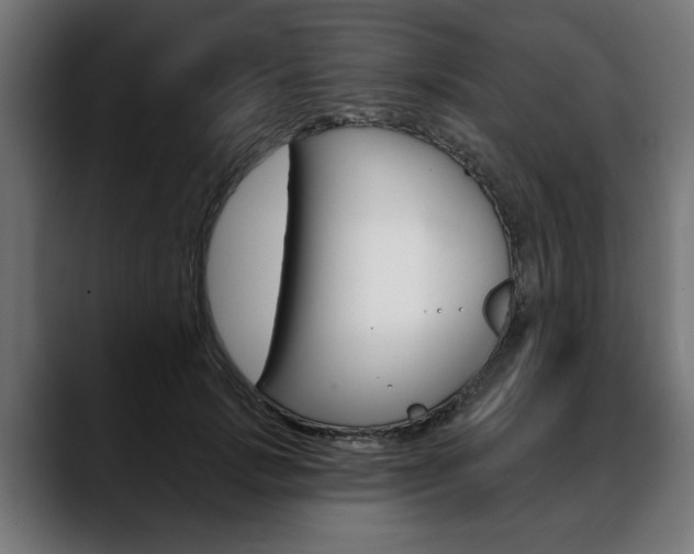 X0000088630749200705250858