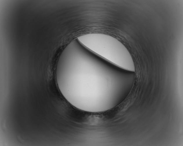 X0000088630751200705250858