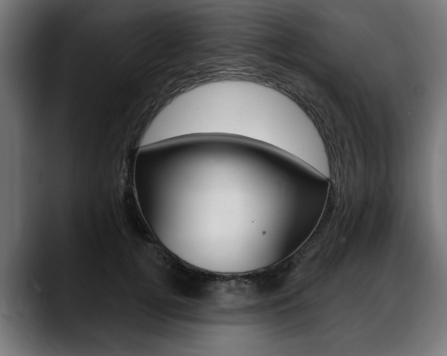 X0000088630752200705250858