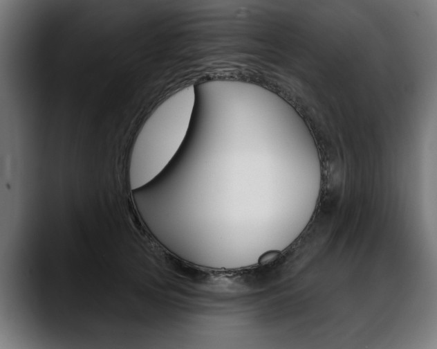 X0000088630753200705250858