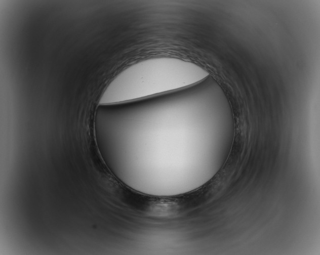 X0000088630754200705250858