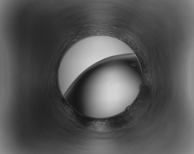 X0000088630756200705250858