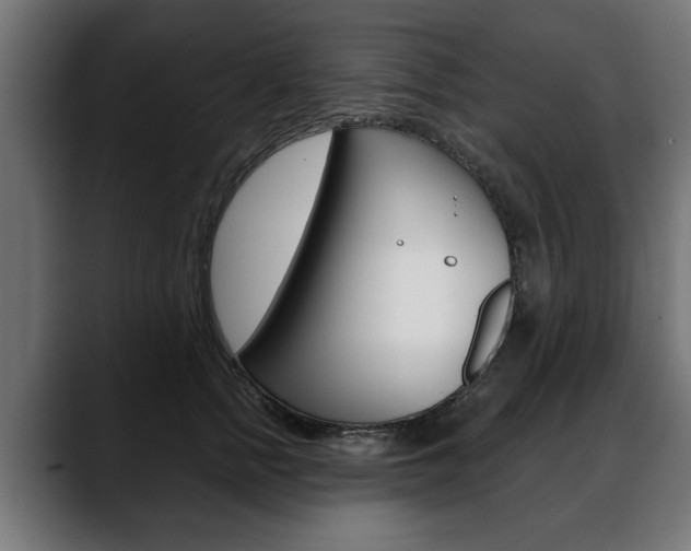 X0000088630758200705250858