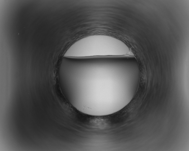 X0000088630759200705250858