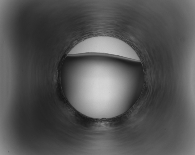 X0000088630760200705250858