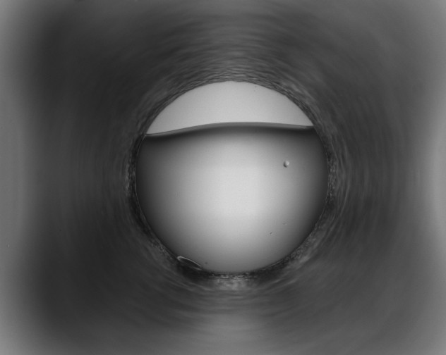X0000088630762200705250858