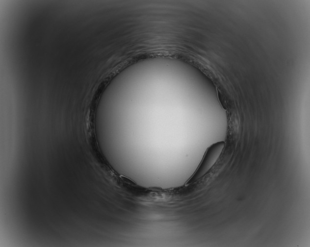 X0000088630764200705250858