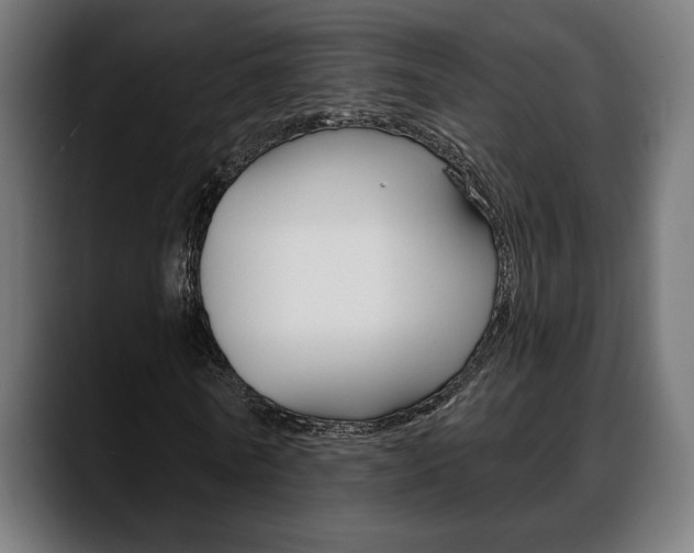 X0000088630770200705250857
