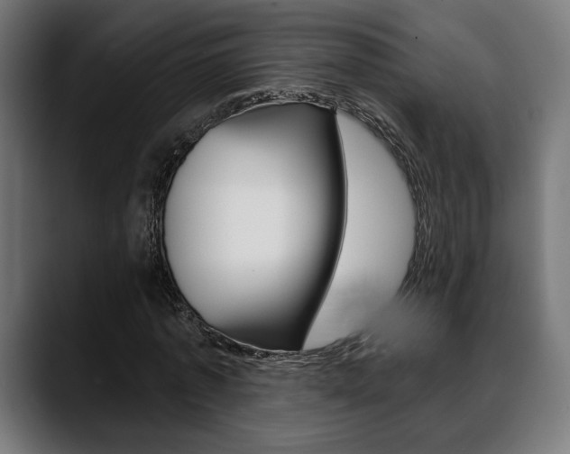 X0000088630773200705250857