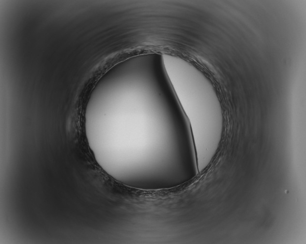 X0000088630776200705250857