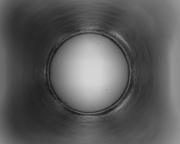 X0000088630777200705250857