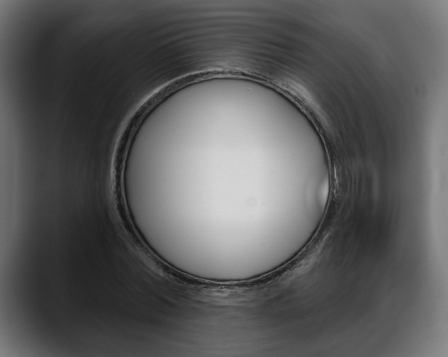 X0000088630780200705250857