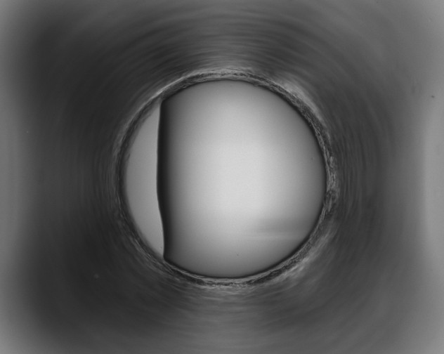 X0000088630781200705250857
