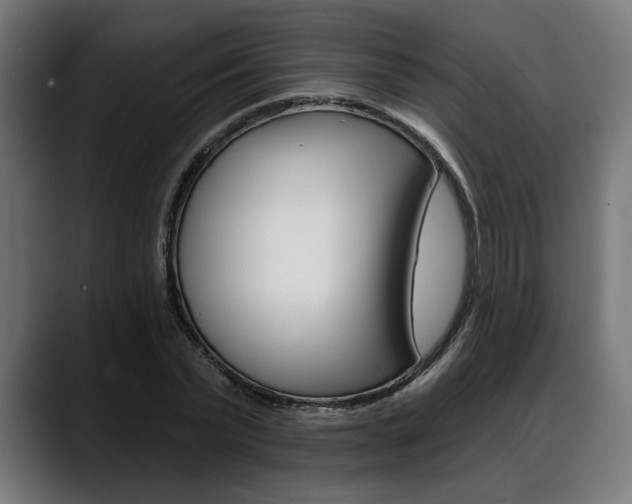 X0000088630783200705250857