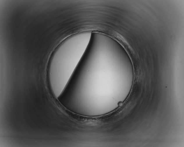 X0000088630786200705250857