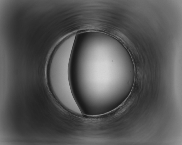 X0000088630788200705250857