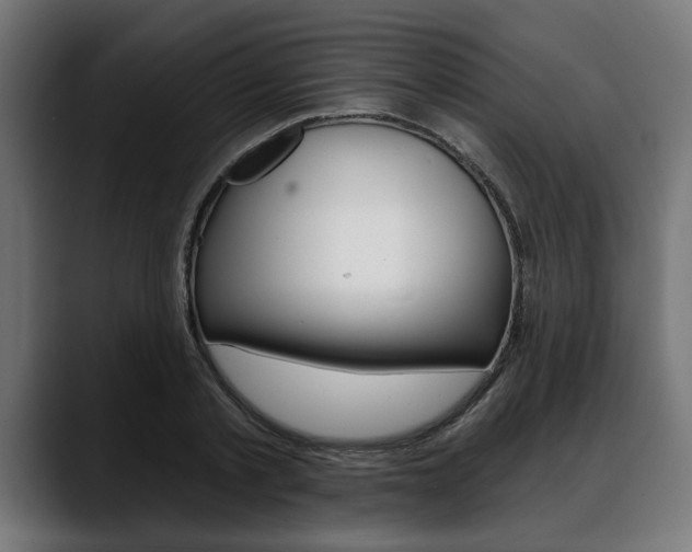X0000088630789200705250857