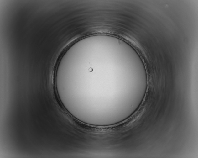 X0000088630790200705250857
