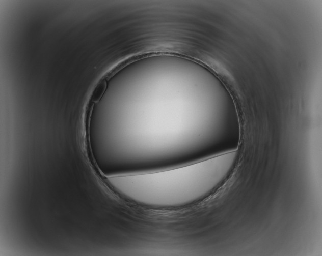 X0000088630792200705250857