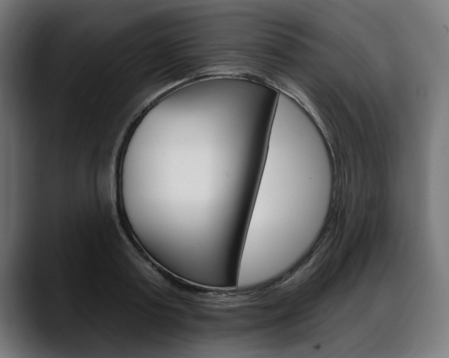 X0000088630795200705250857