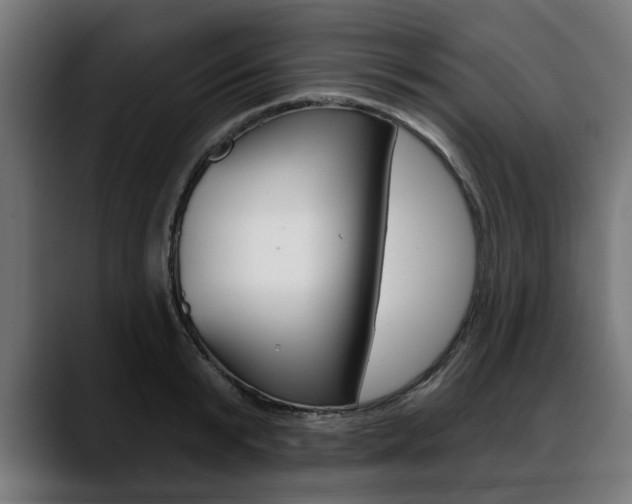 X0000088630799200705250857