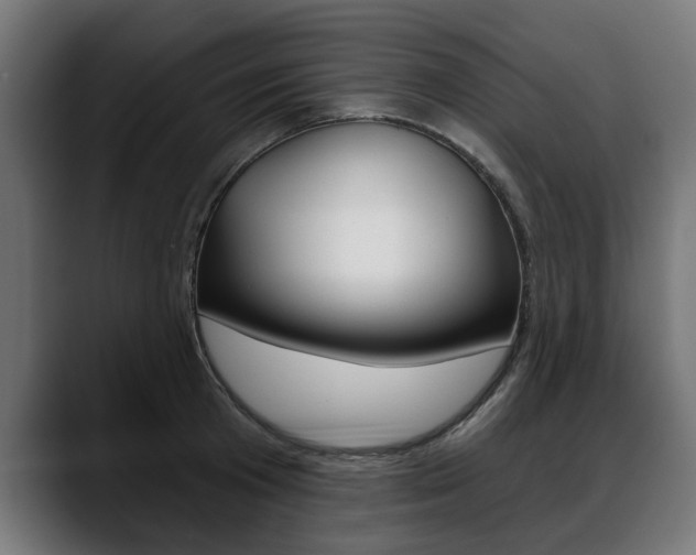 X0000088630801200705250857