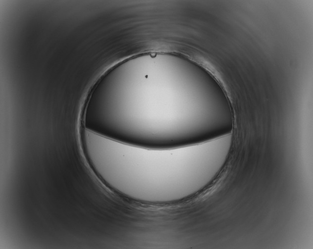 X0000088630803200705250857
