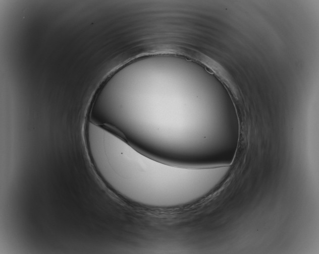 X0000088630805200705250857
