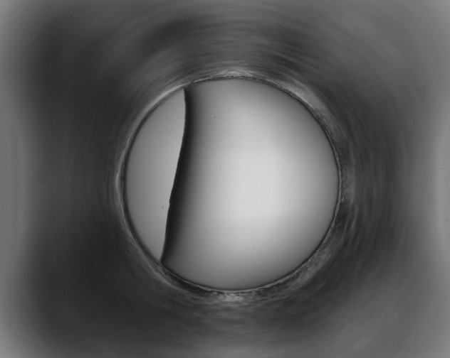 X0000088630806200705250857