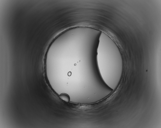 X0000088630808200705250857