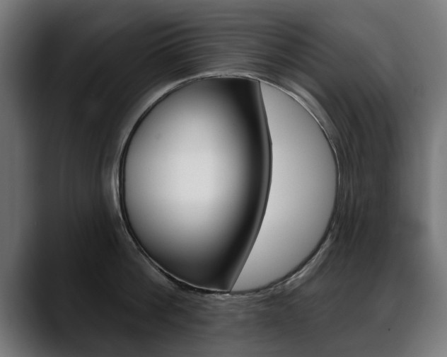 X0000088630812200705250857
