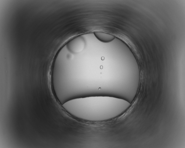 X0000088630814200705250857