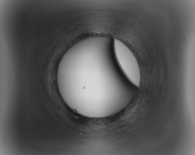 X0000088630817200705250856
