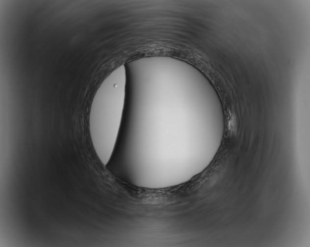 X0000088630819200705250856