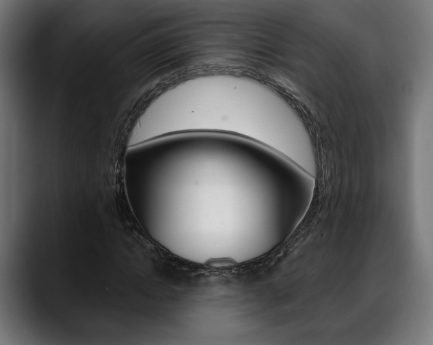 X0000088630822200705250856