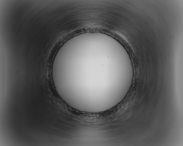 X0000088630823200705250856
