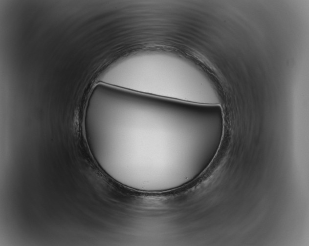 X0000088630825200705250856