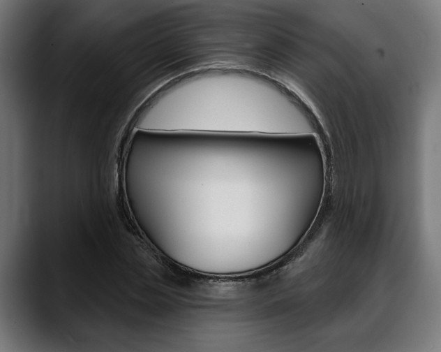 X0000088630829200705250856