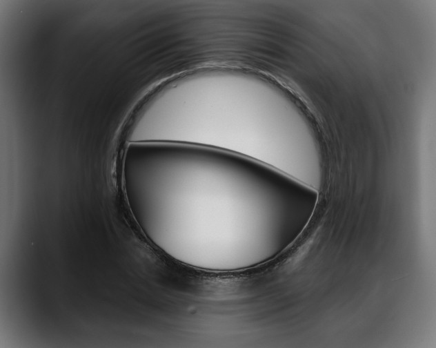 X0000088630830200705250856