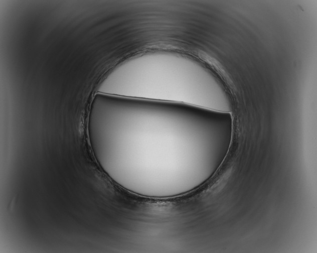 X0000088630833200705250856