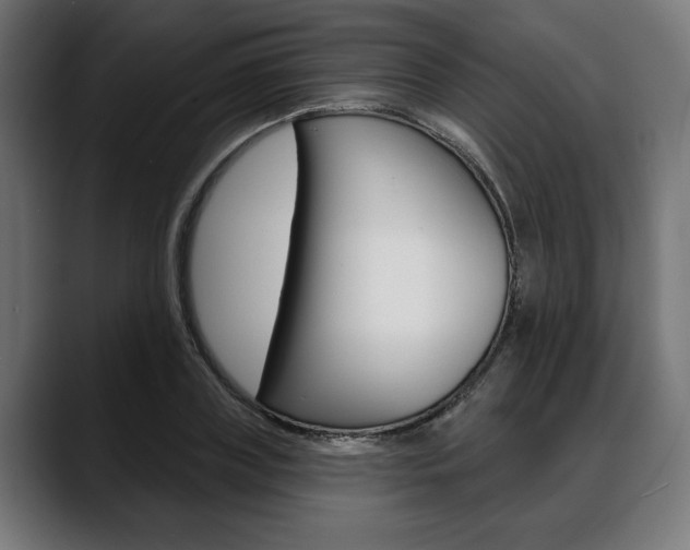 X0000088630835200705250856