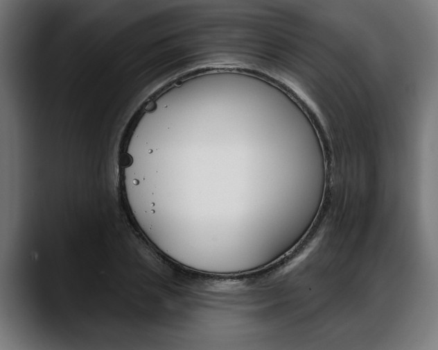 X0000088630837200705250856