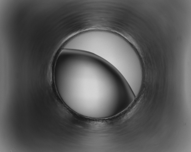 X0000088630838200705250856