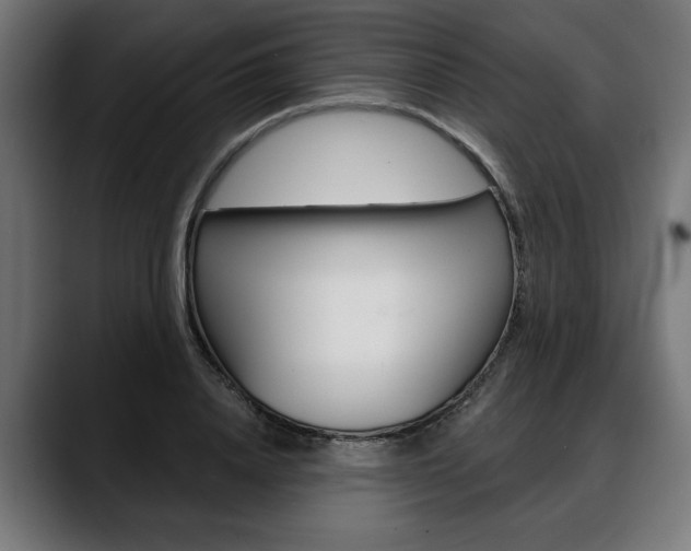 X0000088630840200705250856