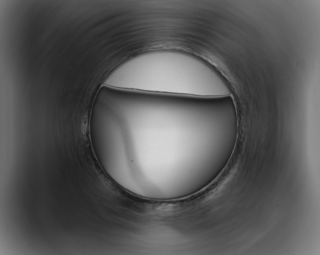 X0000088630841200705250856